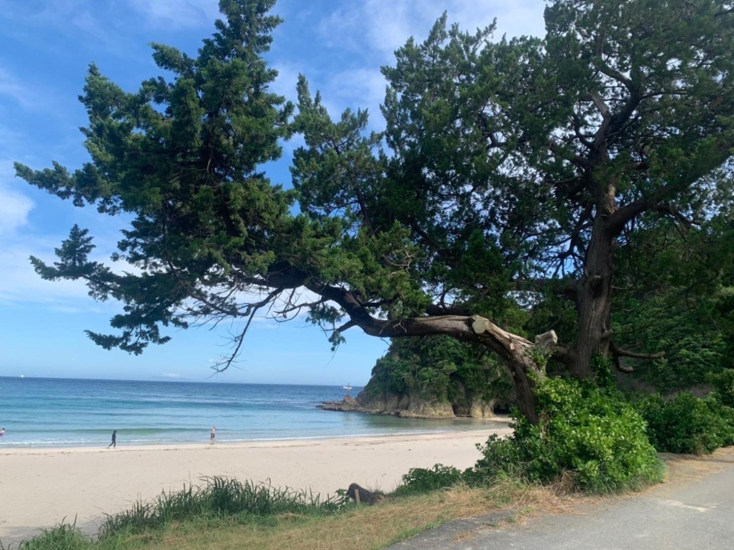 貸別荘吉佐美苑 Shimoda  Extérieur photo